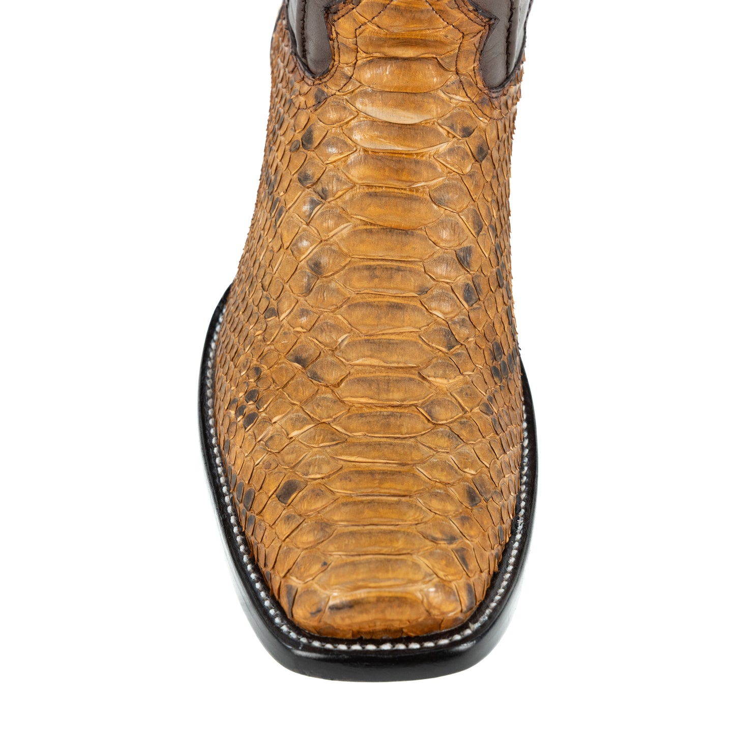 DUBAI PYTHON TAUPE